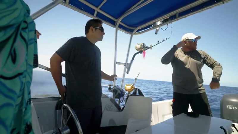 The ahi start just snatching it up