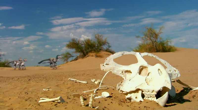 THE ANIMALS PROBABLY LIVED MILLENNIA APART