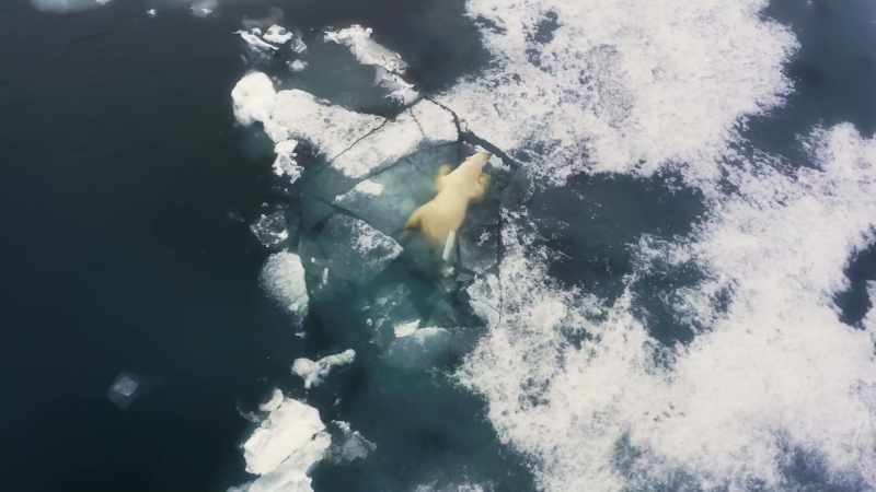 The Arctic is now warming more than twice as fast