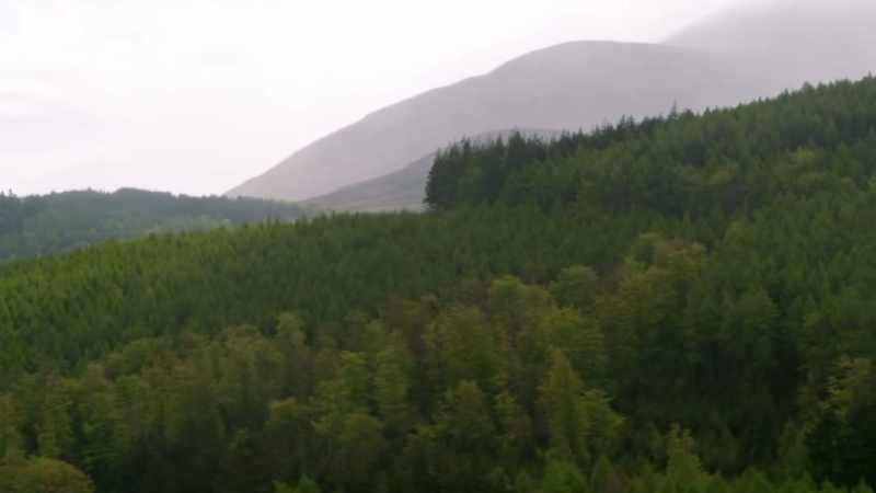 The area covered by the mountain vets