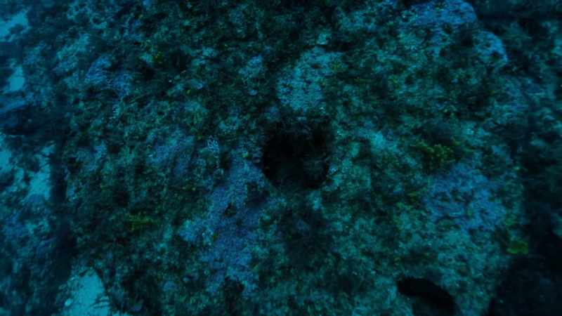 The Atlantic Explorer scours the search area, going back and forth