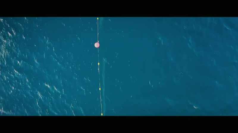 The audacity of that Shark Control Program or the people that run it
