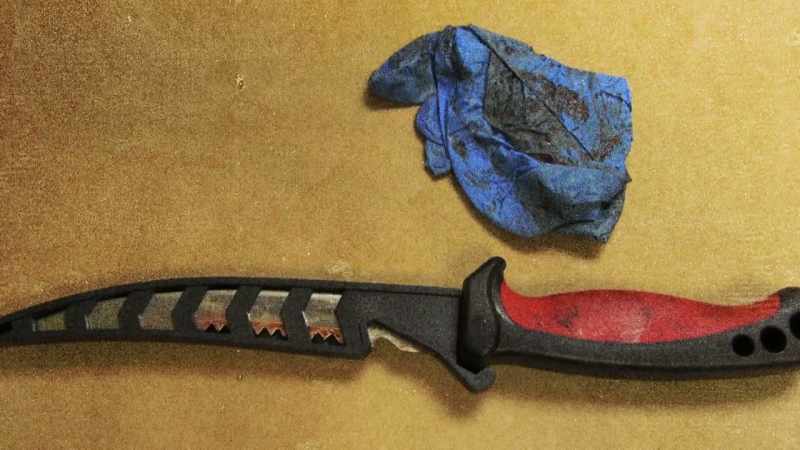The autopsy of Dee Dee Blanchard