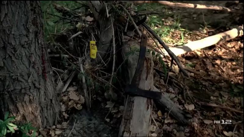 The axe was found buried over there