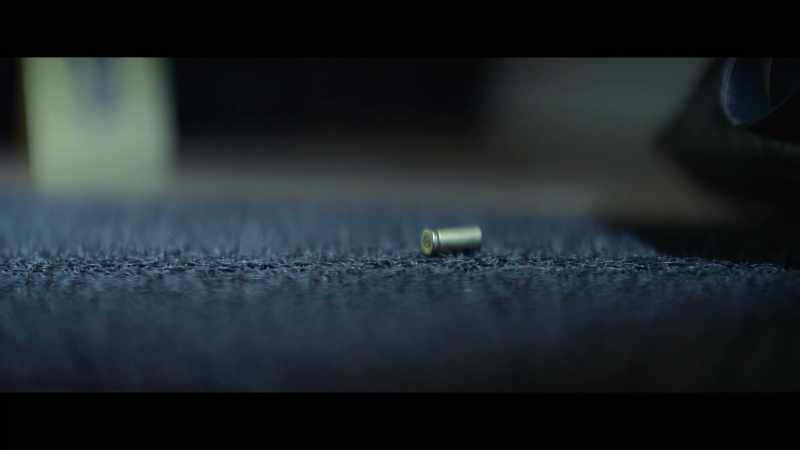 The ballistics expert told me it was a single shot