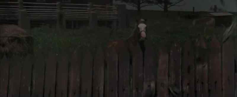 The barn! Come on!