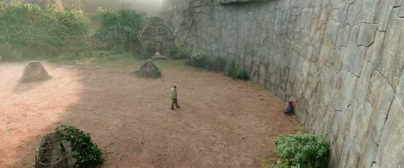 the bear showed the way