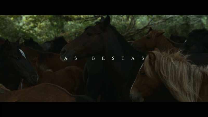 THE BEASTS