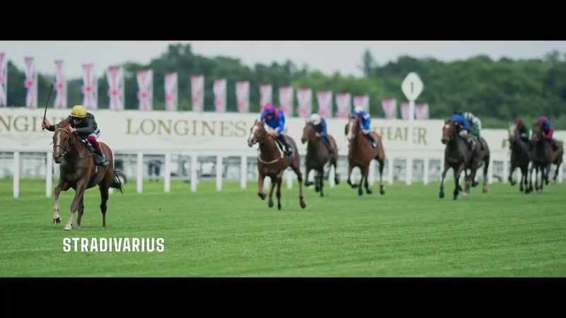 The best stayer in the world - Stradivarius!