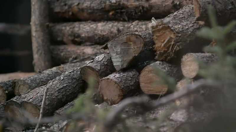 The bigger the log is