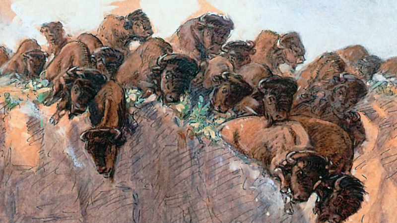 The biggest hunts involved