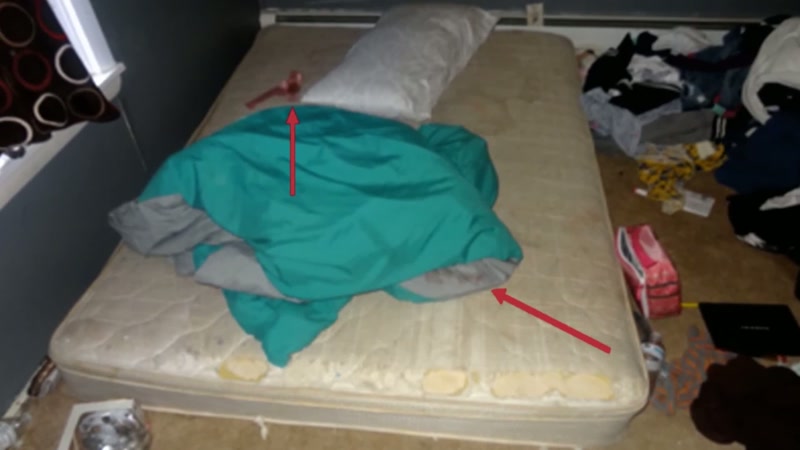 The blood samples were sent off for DNA profiling