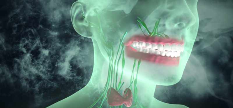 The blood supply in the mouth