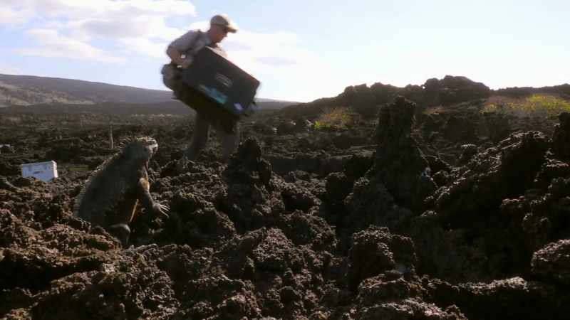 The Blue Planet II team launch a full-scale expedition