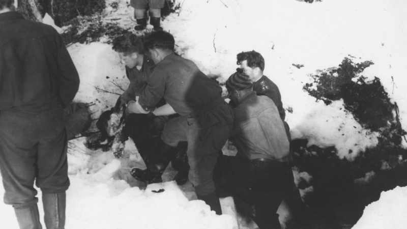 The bodies were carefully removed and carried back