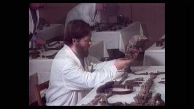 The bones found in Ekaterinburg three years ago