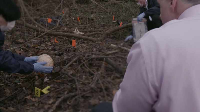 The bones themselves being dry bones with no soft tissue