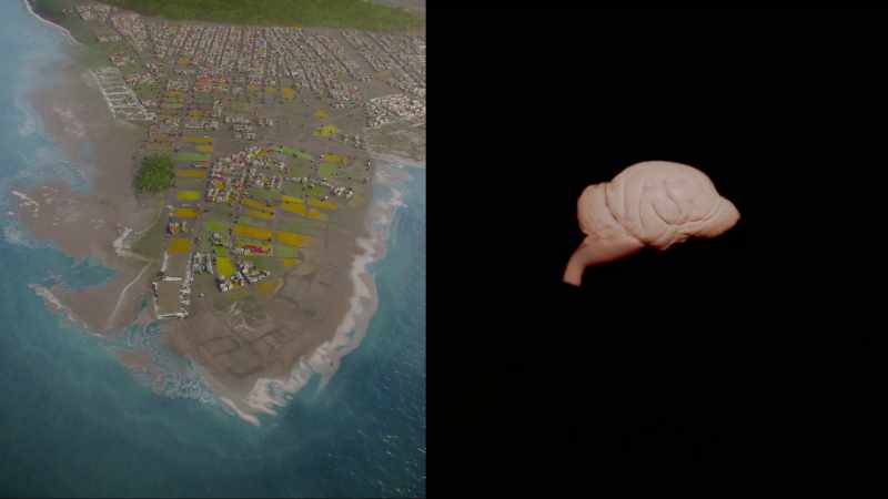 The brain and the city both must function continuously