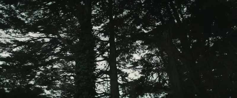 The brain is wider than the sky for put them side by side