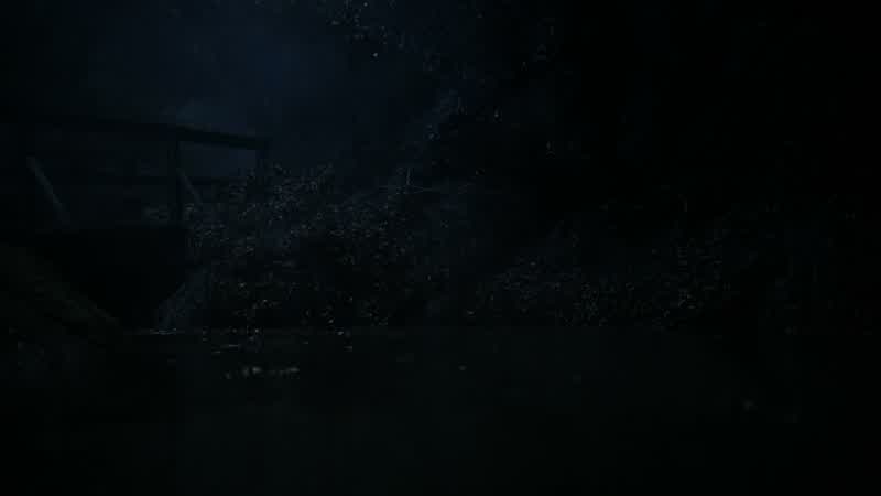 The bridge