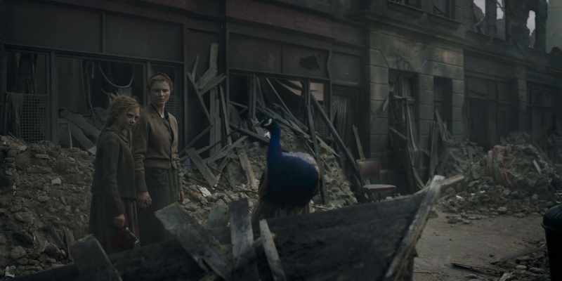 The British bombed the zoo