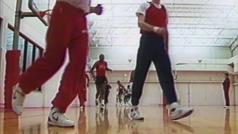 The Bulls brought in Scottie Pippen