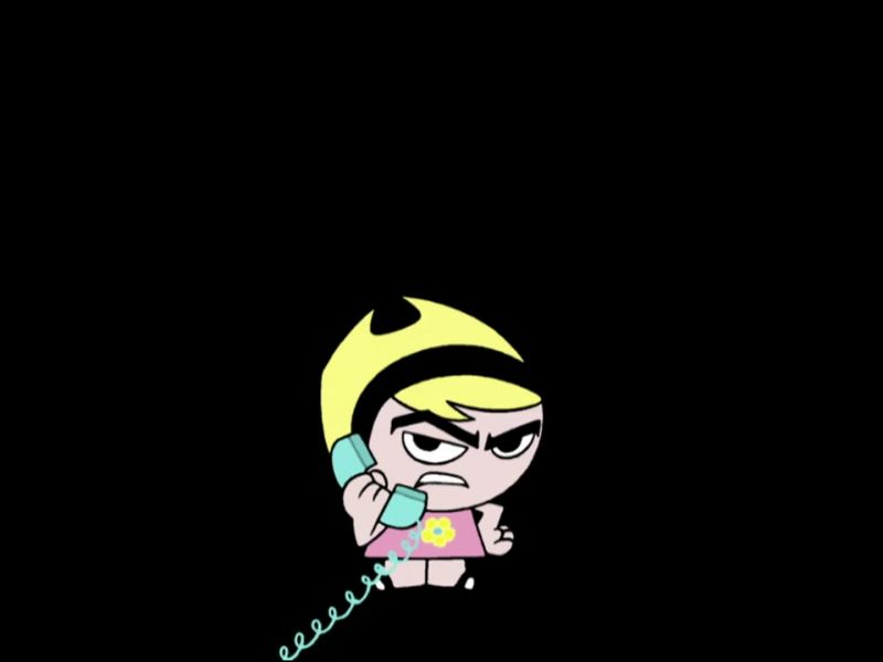 THE CALL IS COMING FROM INSIDE THE HOUSE