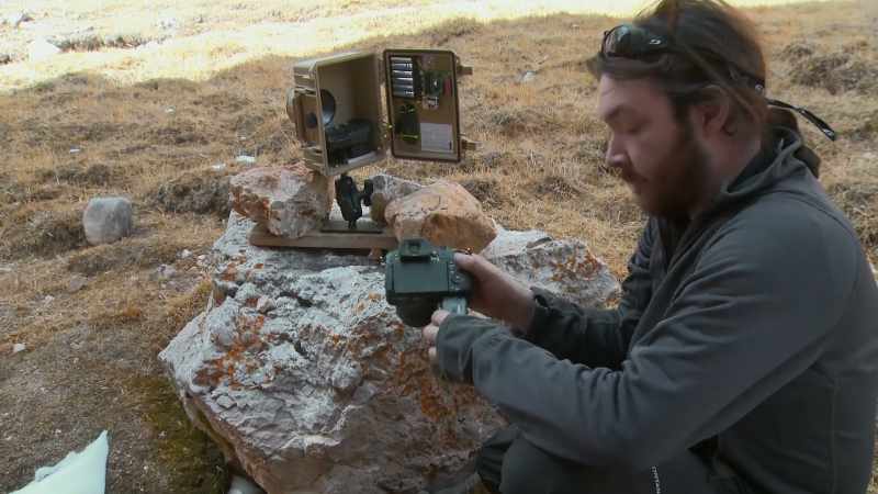 The camera traps were checked and rechecked endlessly