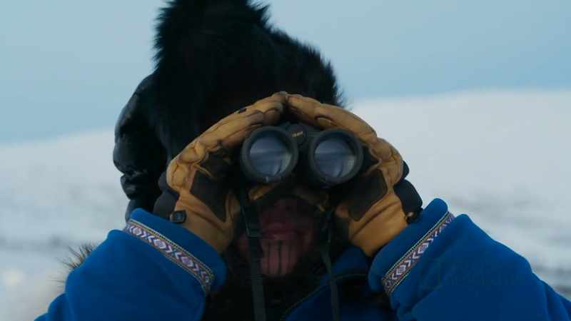 The caribou are probably hunkered down somewhere