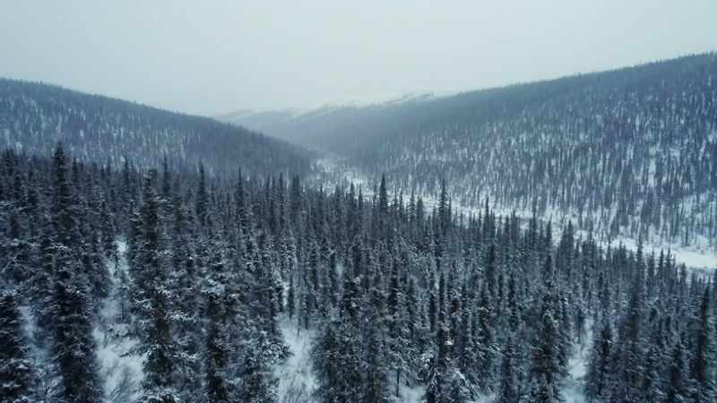 The caribou are probably in a lower elevation so we're gonna
