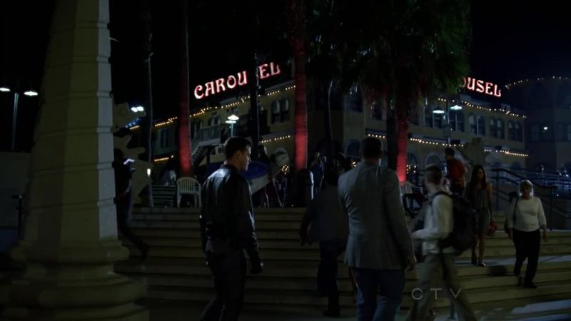 The carousel