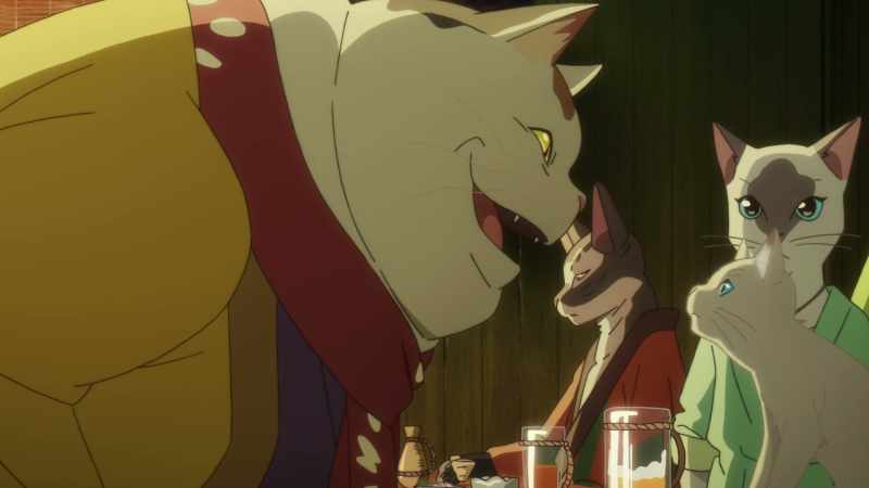 The cat that has your face... Kinako, was it?