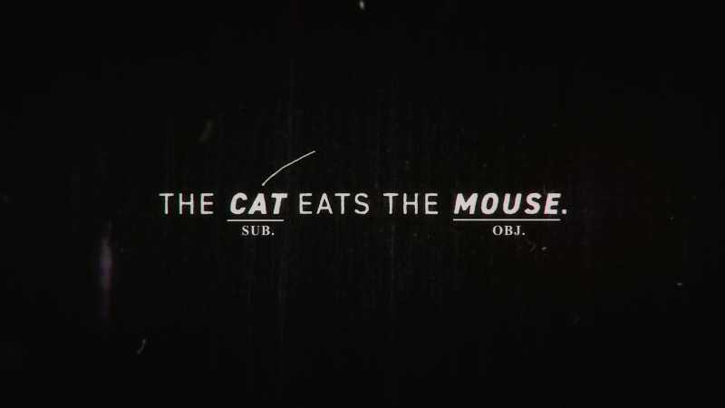 The cat is the subject