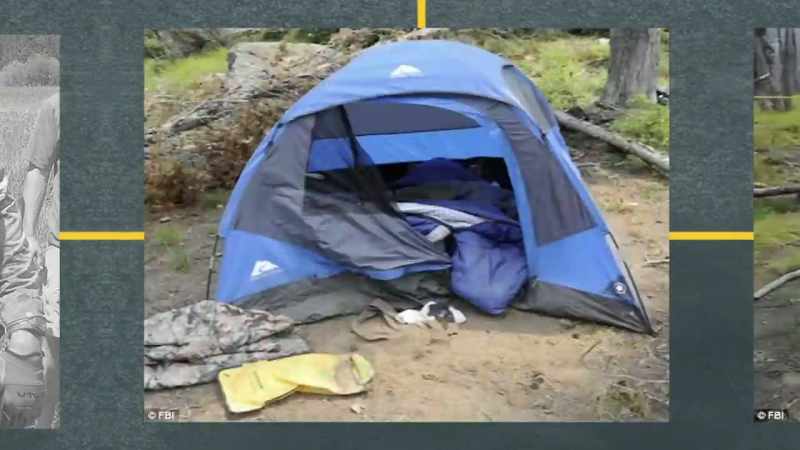 The cat wandered back into the tent