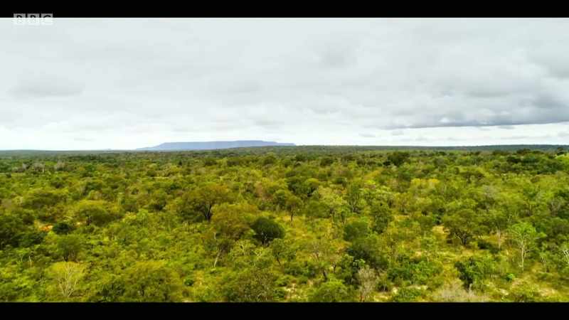 The Cerrado is very special
