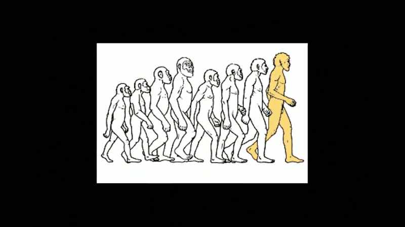 The changed over time through various primate models