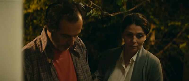 The cherries