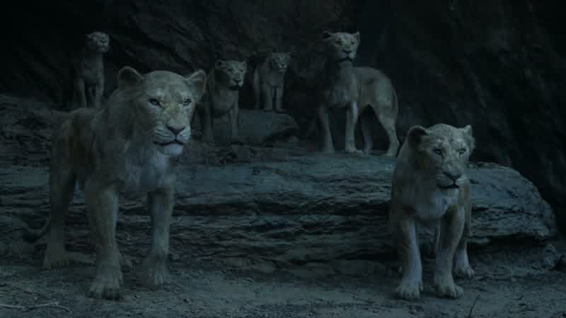 The choice is yours, Scar