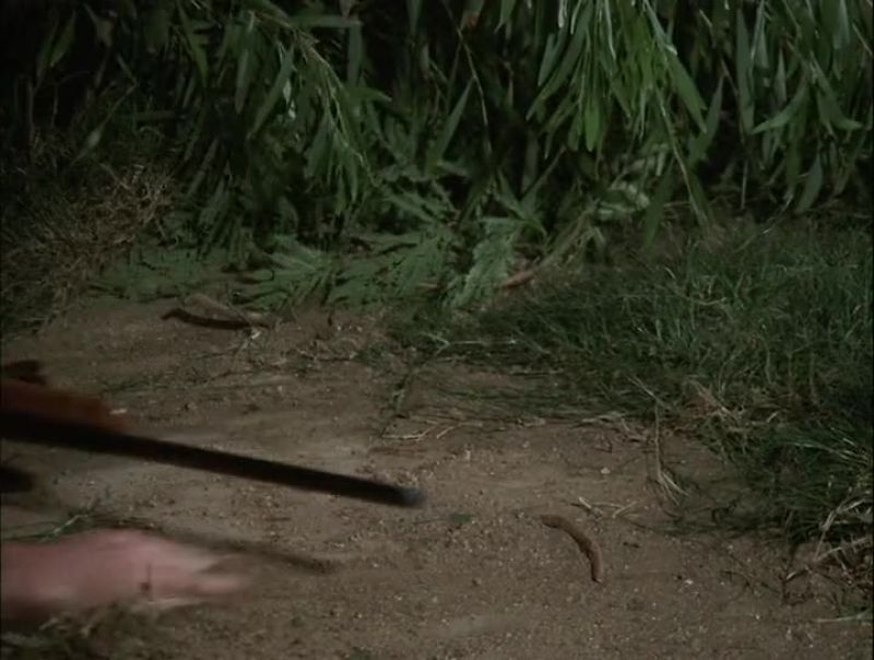 THE CHOPPER'S ON ITS WAY, STEVE