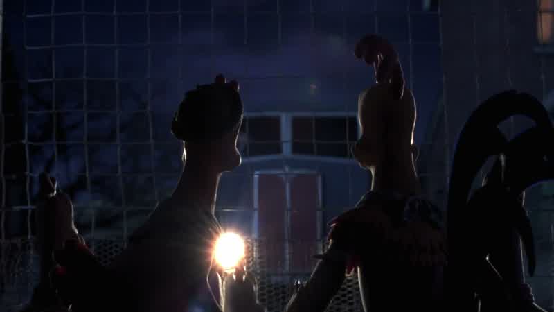 The circus!