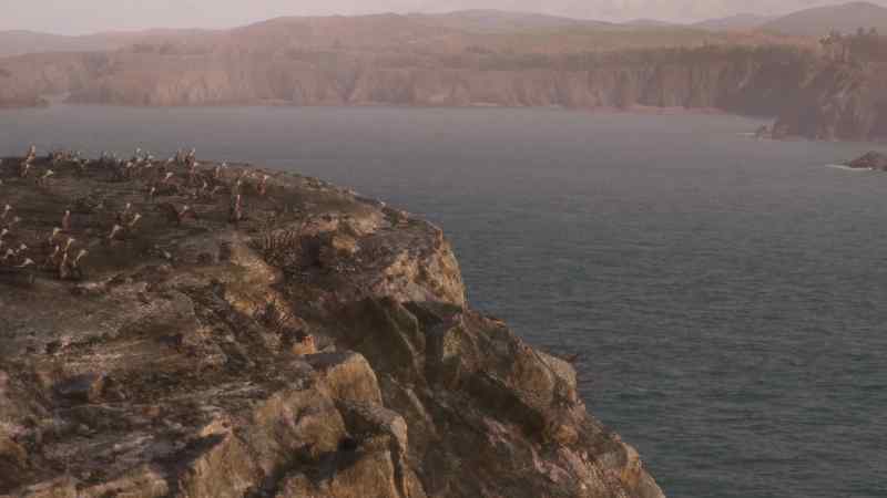 The cliff edge creates updrafts, and they can help