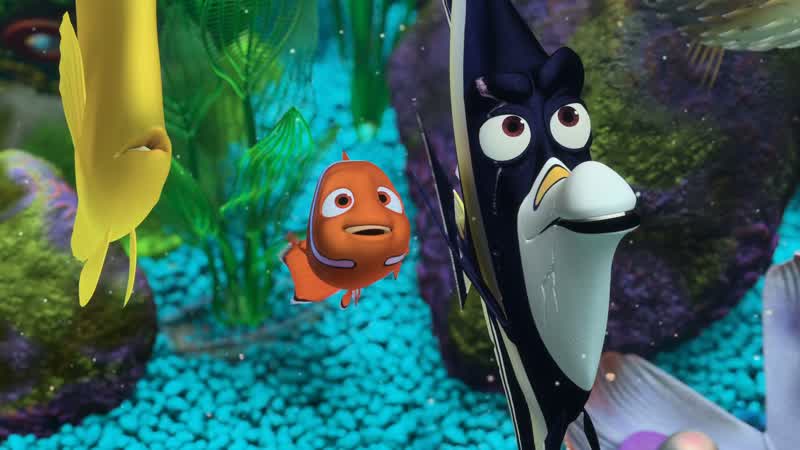 The clown fish from the reef