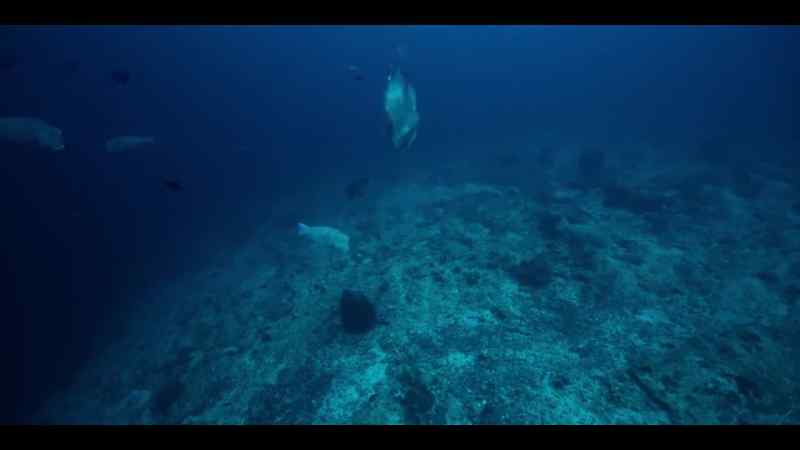 The contestants each search for an area where the current will be strongest