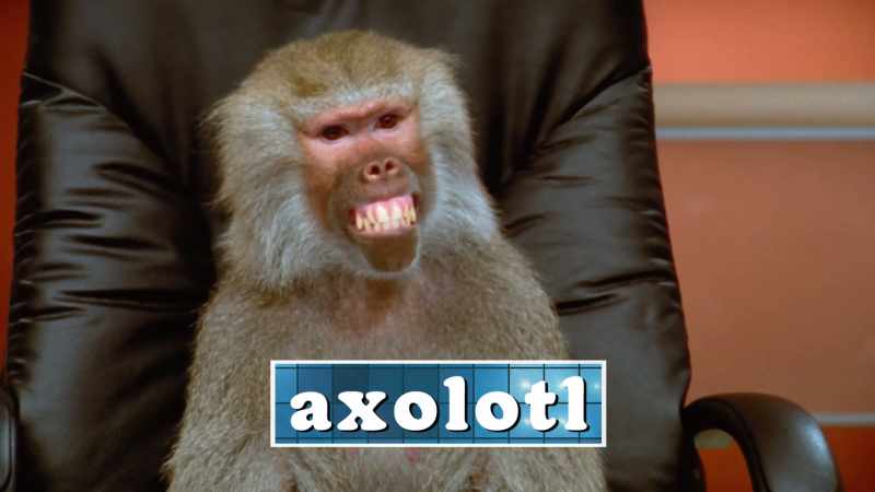 The correct pronunciation is 