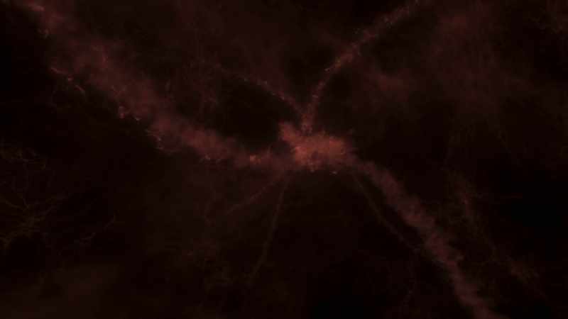 The cosmic web grew to become a vast structure