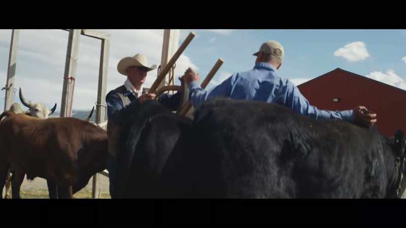 The cowboy dream is dying off