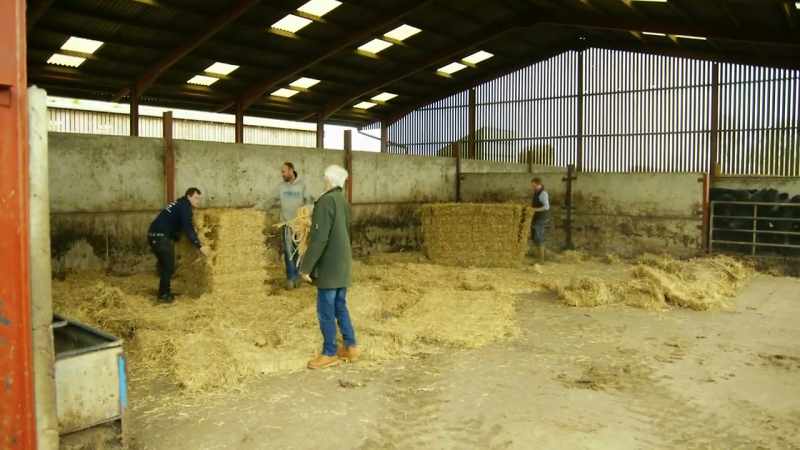 The cows are going to be put in this big barn