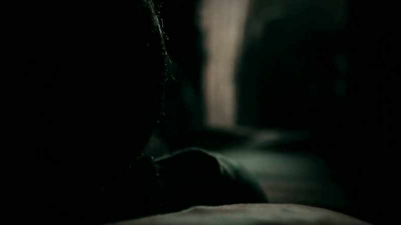 THE CREATURE ENTERED THROUGH AN OPEN WINDOW