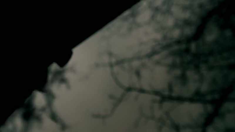 THE CREATURE THEN RUNS INTO THE WOODS