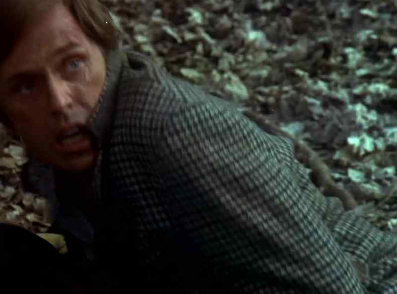 The creature is wanted for a murder he didn't commit